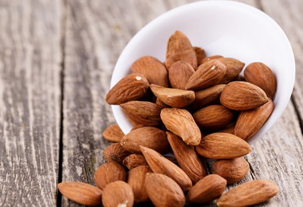 تصویر 5 از قیمت خرید بادام کوهی تلخ + فروش ویژه